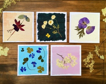 Pressed flower set of blank cards, pressed flower stationery gift, real pressed flower handmade cards, meadow and garden flower cards