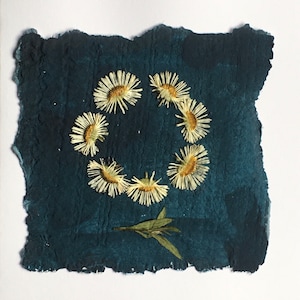 Daisy Ring echte gepresste Blumen auf handgeschöpftem Papier, Daisy handgemachte Karte, April Geburt Blume handgemachte Karte