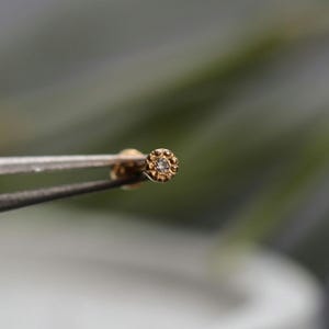 Orecchino Labret con diamanti Milgrain: perno senza filettatura in oro 18 carati da 2,5 mm con fondo piatto