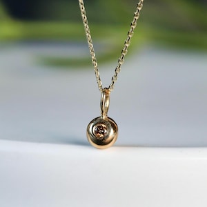 May include: A gold pendant necklace with a small, circular pendant. The pendant has a central brown gemstone and hangs from a fine chain. The background is blurred, with green and white tones.