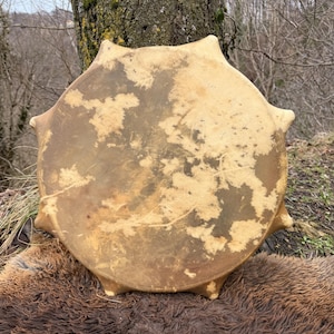 May include: A round, handmade drum with a natural hide head. The drum has a light brown color with darker spots and a star-shaped frame. The drum is resting on a brown, textured surface, with a tree trunk in the background.