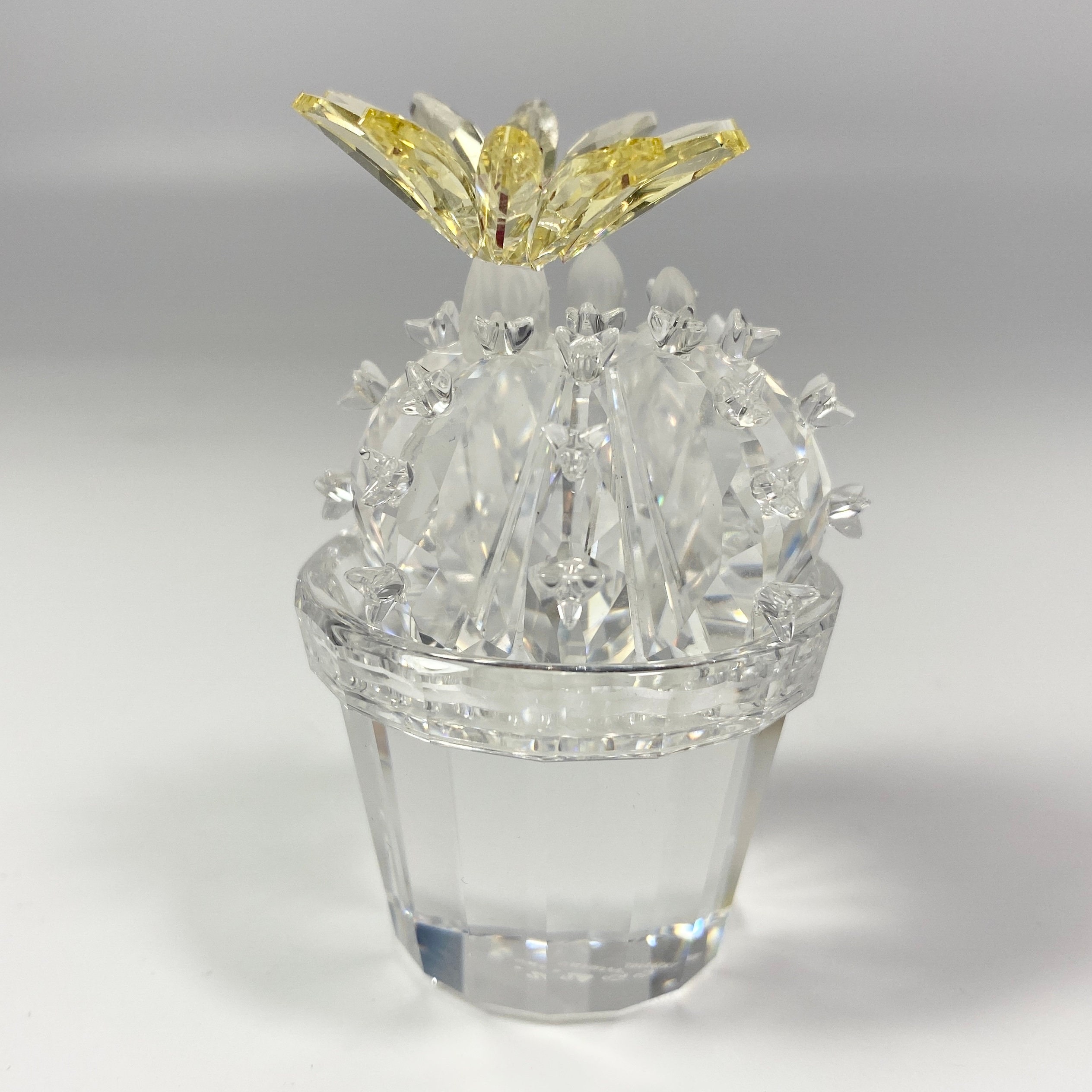 廃盤品 スワロフスキークリスタル 開花サボテン 置物 291549 7484