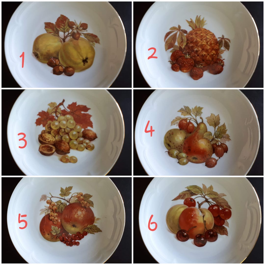 Kahla Fruit Plate Made in German Democratic Republic 6 Designs Etsy
