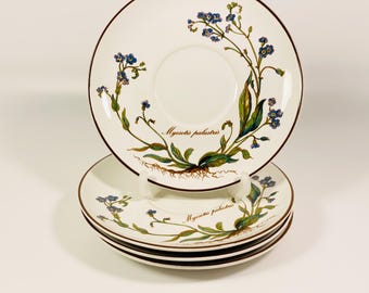 Villeroy Boch プレート（4枚セット） Amazon.com | Villeroy & Boch Newwave 4-Piece Party Set: Platters