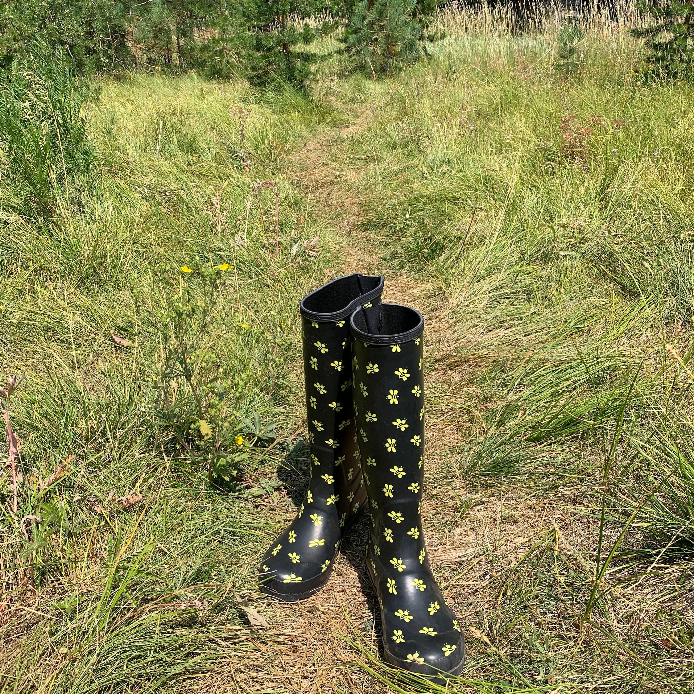 Bee Rainboots