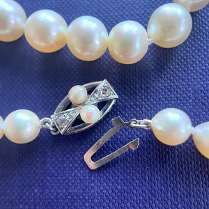 May include: A white pearl necklace with a silver clasp featuring small diamonds. The necklace is on a blue background.