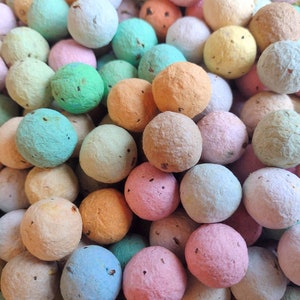 Handmade Wildflower Seed Bombs: US Native, Eco-Friendly Party Favors