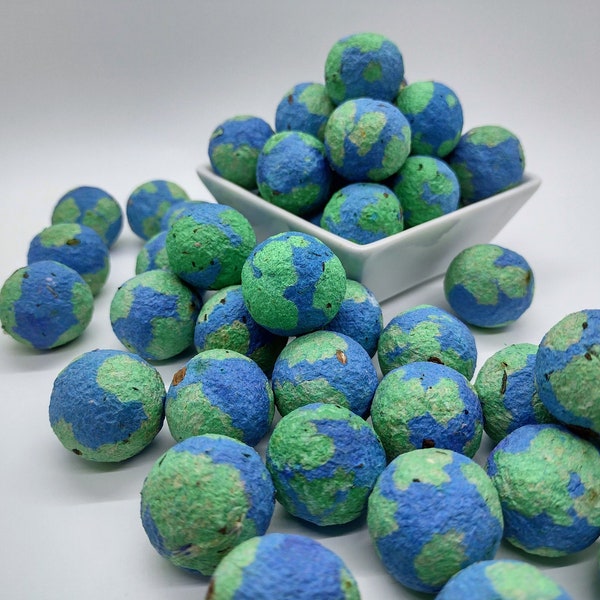 Planet Earth seed bomb, US native wildflower seeds, eco friendly, sustainable, party favor, Earth Day give away, birthday, Graduation gift