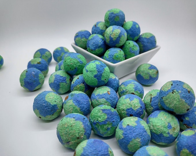 Planet Earth Seed Bomb: US Native Wildflower Pollinator Mix, Eco Friendly, Party Favor, Zero Waste, Sustainable Seed Balls