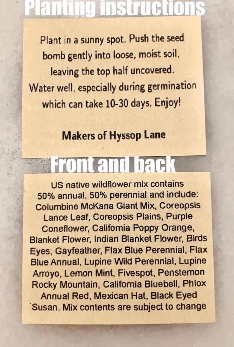 Handmade US Native Wildflower Seed Bomb Favors: Ready-to-gift Eco-Friendly Party Favors, Zero Waste, Recycycled Pollinator Seed Ball gift image 3