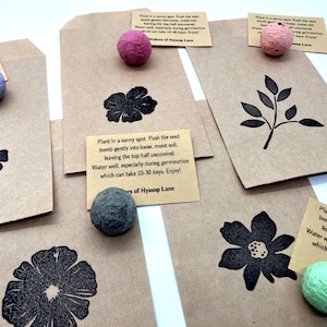 May include: Several brown paper packets featuring black ink botanical illustrations and small, round, colored seed bombs. Each packet includes a tan card with printed instructions: Plant in a sunny spot. Push the seed bomb gently into loose, moist soil.