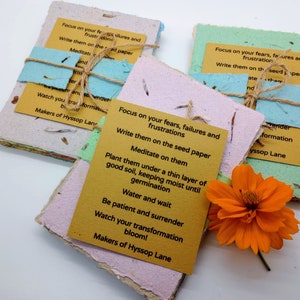 Plantable Journaling Cards – Wildflower Seed Paper Set | Release Fears & Frustrations | Eco-Friendly Mindfulness Practice, Zero Waste Gift