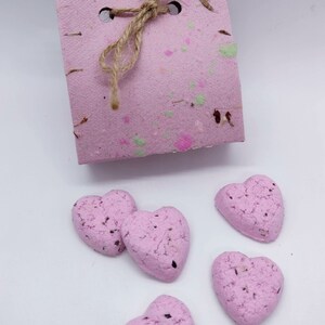 Heart Wildflower Seed Bombs: US Native, Sustainable Pollinator Party Favors, Eco Friendly Teacher, Gardner Gift, Halloween Favor, Zero Waste
