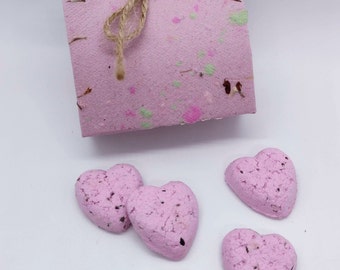 Heart Wildflower Seed Bombs: US Native, Sustainable Pollinator Party Favors, Eco Friendly Teacher, Gardner Gift, Halloween Favor, Zero Waste