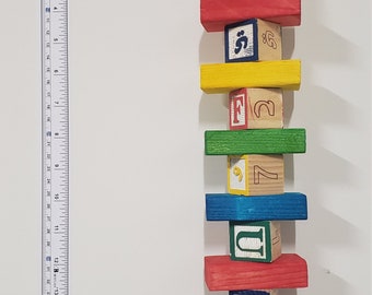 Parrot medium sized alphabet block toy with bell
