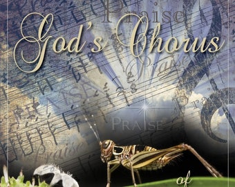 Download- Crickets -God's Chorus of Crickets - Download Mp3