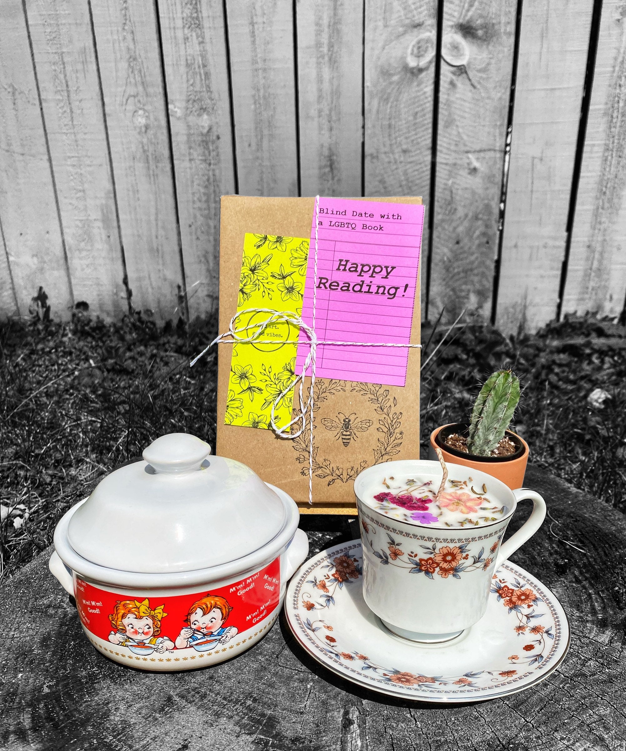 Blind Date with a Plant | Surprise Book | Sympathy Gift | Surprise Ca…