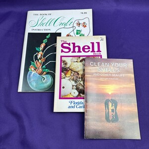 May include: Three instructional books about seashells. The top book is titled The Book of Shell Craft Instruction. The middle book is The Shell Book Florida and Caribbean. The bottom book is titled Clean Your Shells and Other Sea Life by Betty and Robert Lipe.