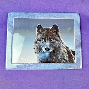 May include: A framed print of a black wolf with yellow eyes looking directly at the viewer. The wolf is set against a blue and white background. The frame is a light blue color.