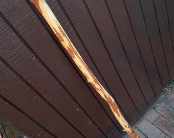 Hiking stick