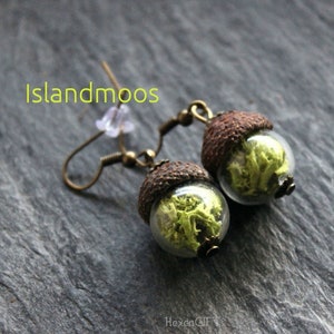 Acorn earrings, glass Iceland moss, hand collected acorn caps, gift for nature lover, gift for women, moss green acorn earrings