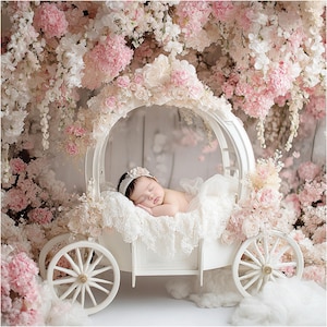Neugeborenen digitalen Hintergrund, weiße Prinzessin Warenkorb, Blumen-Kinderwagen, Fine Art-Fotografie Hintergrund, Fotografie-Overlays, kreative Zusammensetzung