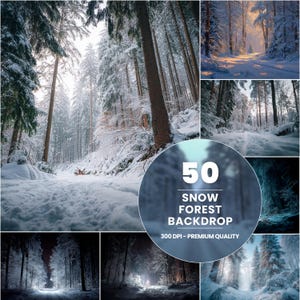 Puede incluir: Una colección de fondos de bosques nevados. Las imágenes presentan árboles y senderos cubiertos de nieve, con diversas condiciones de iluminación, desde la luz solar brillante hasta escenas nocturnas. El texto en la imagen dice "50 Snow Forest Backdrop 300 DPI - Premium Quality."