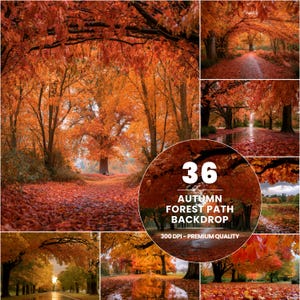 May include: A collection of 36 digital photography backdrops featuring autumn forest paths with vibrant orange and red foliage, fallen leaves covering the ground, and trees with dense canopies. The text 36 AUTUMN FOREST PATH BACKDROP 300 DPI - PREMIUM QUALITY is overlaid on a circular graphic.