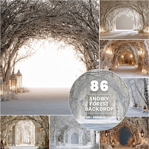 May include: A collection of 86 digital photography backdrops featuring snowy forest scenes with white trees, frost-covered branches, and glowing lanterns. The circular overlay displays the text 86 SNOWY FOREST BACKDROP 300 DPI - PREMIUM QUALITY.