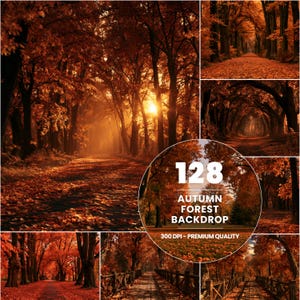 Peut inclure: Une collection de fonds photographiques numériques représentant des forêts en automne avec un feuillage orange et rouge vif, des sentiers bordés d'arbres et des ponts en bois. Le cercle affiche le texte 128 AUTUMN FOREST BACKDROP 300 DPI - PREMIUM QUALITY.