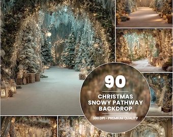 May include: A composite image featuring a snowy Christmas pathway backdrop. The scene includes snow-covered trees, twinkling lights, and lanterns, creating a festive and magical atmosphere. The text reads "90 Christmas Snowy Pathway Backdrop 300 DPI - Premium Quality."