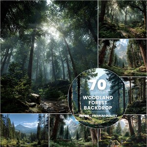 Può includere: Un collage di scene di foresta con alberi alti e luce solare che filtra attraverso la volta. L'immagine include una grafica circolare con il testo "70 WOODLAND FOREST BACKDROP 300 DPI - PREMIUM QUALITY".