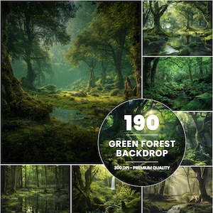 Pode incluir: Uma coleção de 190 imagens de fundo de floresta verde com cenas florestais exuberantes com árvores cobertas de musgo, riachos e luz solar filtrando através da copa. O texto 190 GREEN FOREST BACKDROP 300 DPI - PREMIUM QUALITY é exibido em branco.
