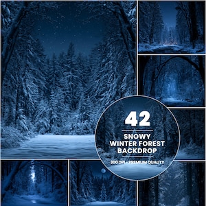 May include: A collection of 42 digital photography backdrops featuring snowy winter forest scenes at night. The images display dark blue tones, snow-covered pine trees, and starry skies. A circular overlay includes the text 42 SNOWY WINTER FOREST BACKDROP.