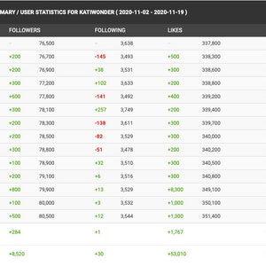 May include: A table showing TikTok statistics for the user Katiwonder from November 2nd to November 19th, 2020. The table includes daily and monthly averages for followers, following, likes, and uploads.