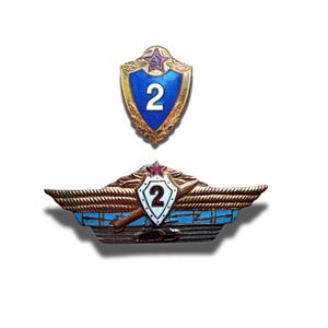 昔の軍人バッジのミニチュア版バッジ？ 生き残れ 右翼バッジ？