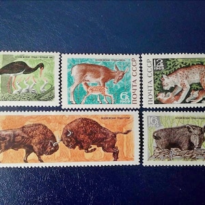 USSR Stamps, 1969 – Belovezhskaya Pushcha Fauna Series