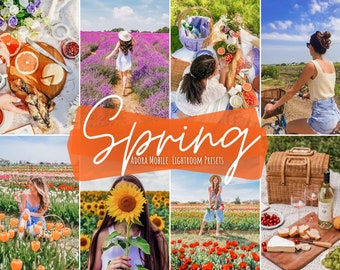 Colorful Natural Lightroom Mobile Presets: Vibrant Instagram Filters (DNG)