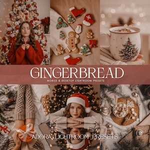 10 ajustes preestablecidos de Lightroom: ajustes preestablecidos para Navidad cálida, ajustes preestablecidos para familias acogedoras, ajustes preestablecidos para festividades, ajustes preestablecidos para interiores, ajustes preestablecidos para Navidad, ajustes preestablecidos para dispositivos móviles y computadoras de escritorio.