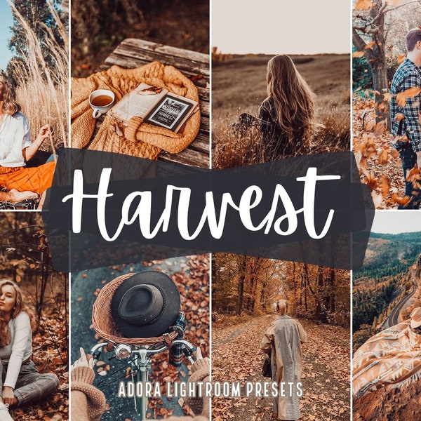 10  Harvest Lightroom Preset, Moody Autumn Presets, Fall Presets, Outdoor Presets, Desktop Presets, Warm Mobile Presets, Instagram Presets
