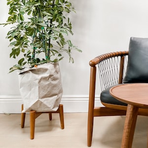 May include: A tall houseplant in a paper bag planter on a wooden stand. A mid-century modern chair with a black leather cushion and a blue cable-knit throw blanket. A small wooden side table with a succulent in a concrete pot.