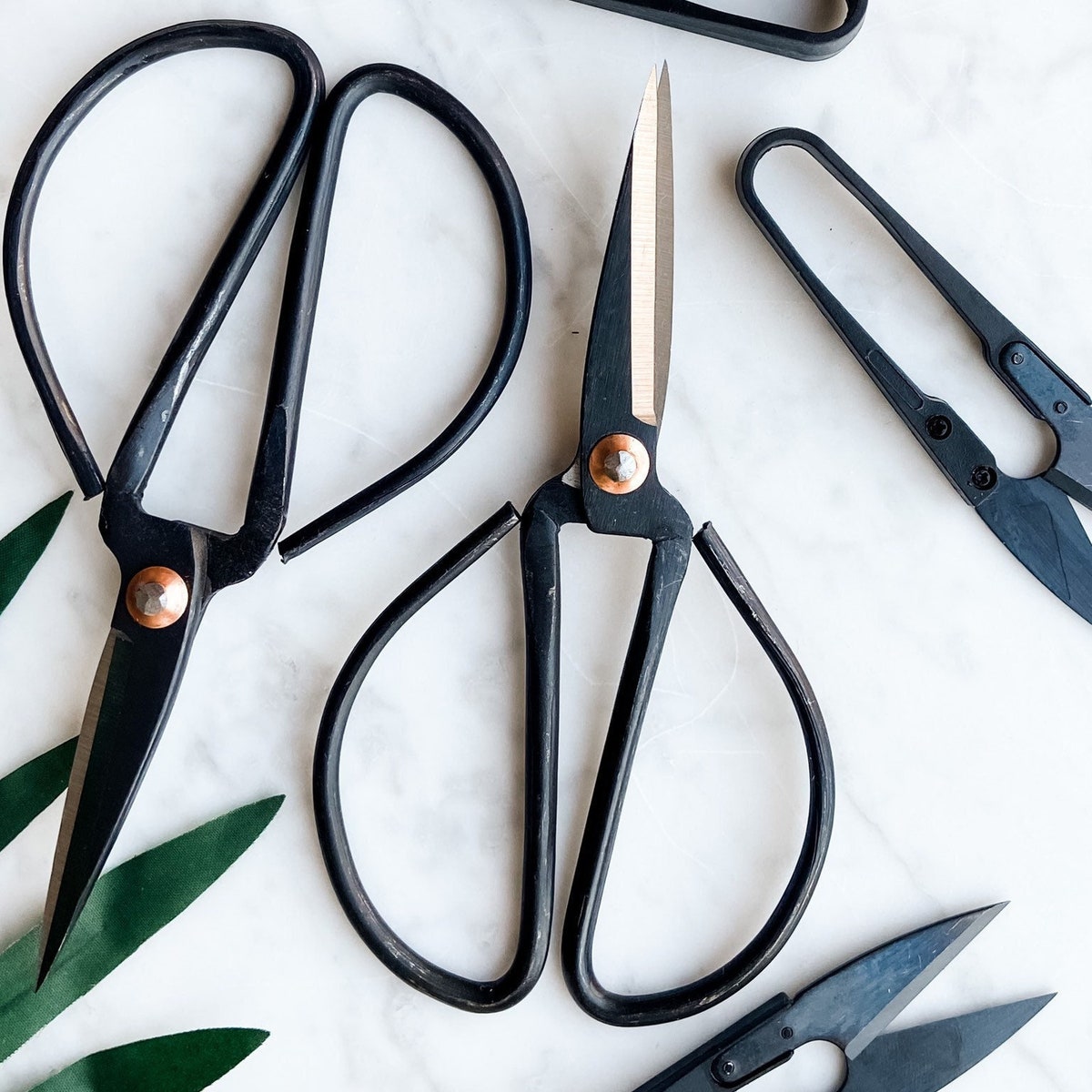 Scissors & Pruners Set | Houseplants and Gardening | 3 Tools