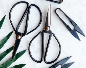 Scissors & Pruners Set | Houseplants and Gardening | A must-have plant tool and accessory for plant lovers | A perfect plant gift | 3 tools