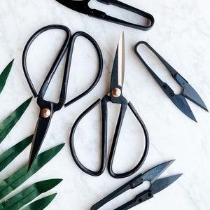 Scissors & Pruners Set for indoor gardening tools