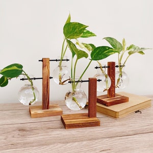Plant Propagation Vase Gardening Planter Set Hydroponic Houseplant Stand Unique Plant Pot Rustic Propagation Station Gift Set Plant Lover