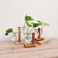 Plant Propagation Vase Gardening Planter Set Hydroponic Houseplant Stand Unique Plant Pot Rustic Propagation Station Gift Set Plant Lover