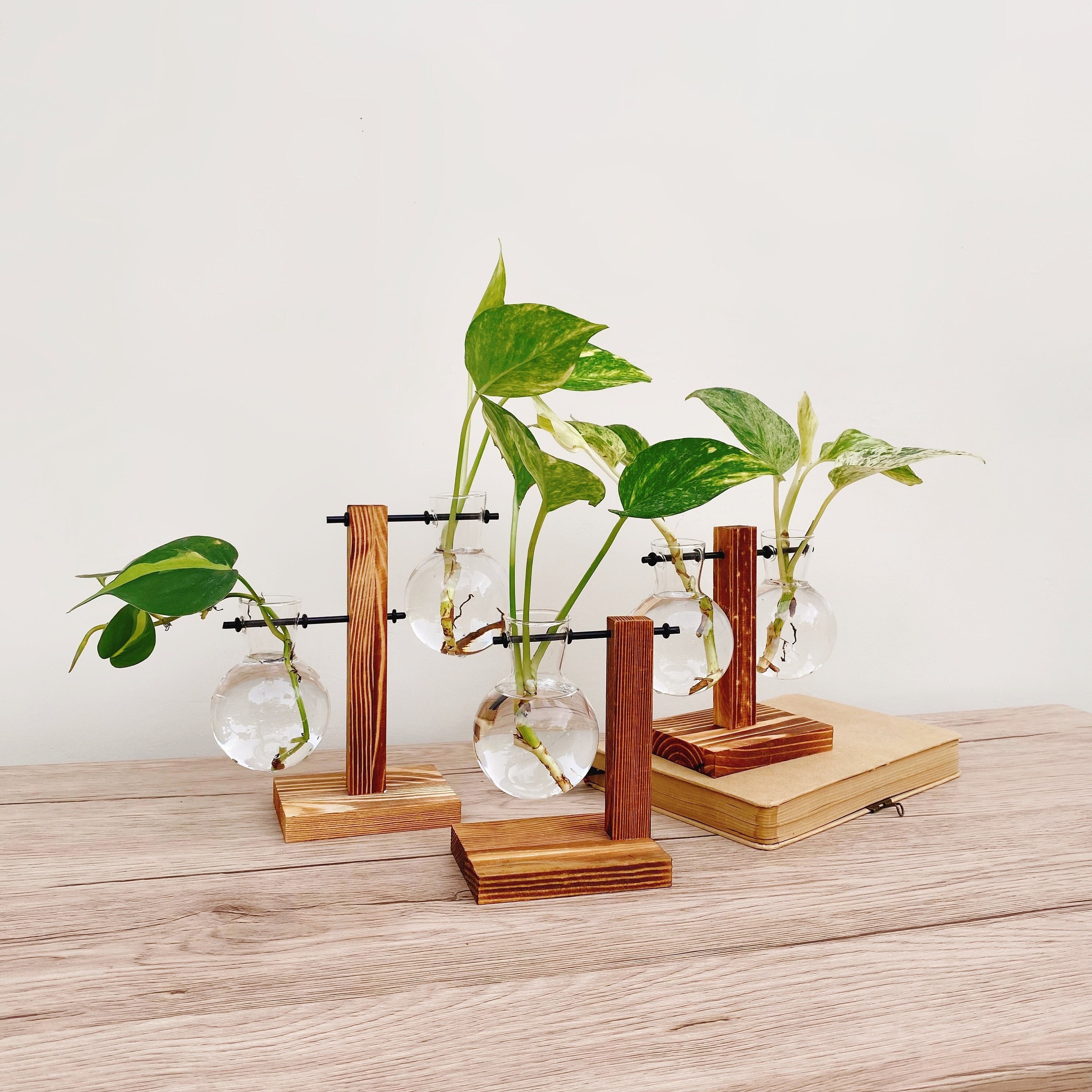 Plant Propagation Vase Gardening Planter Set Hydroponic Houseplant Stand Unique Plant Pot Rustic Propagation Station Gift Set Plant Lover