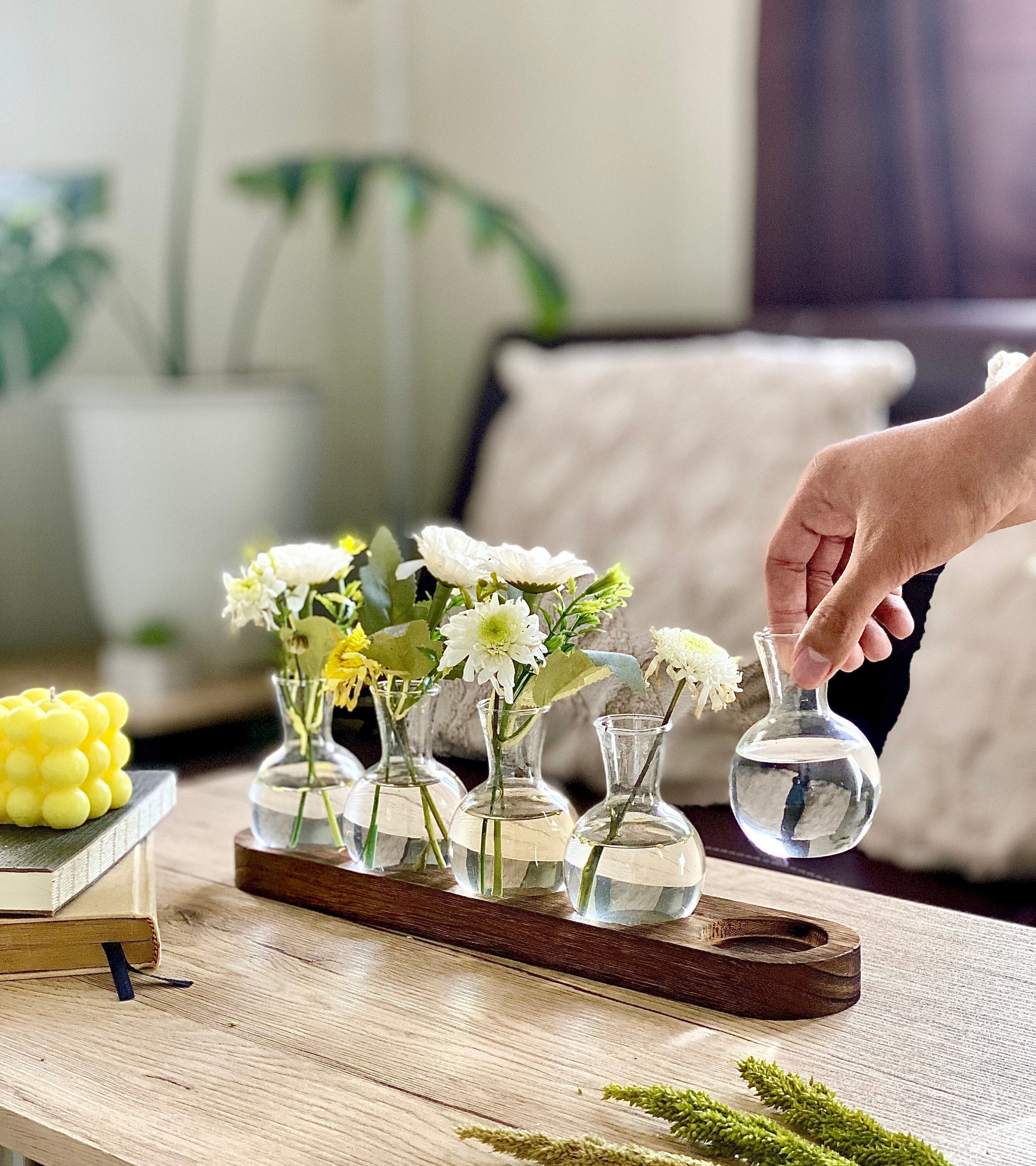 Plant in Glass Vase - Etsy, image size:2667x3000