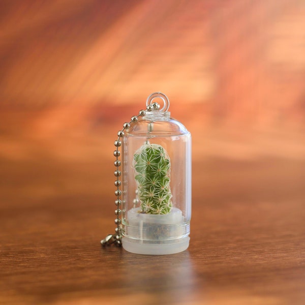Mini Succulent Cacti Plant Charm |  Miniature Cactus Keychain | Succulent Mini Terrarium | Live Cacti Houseplant Keyring | Funny Plant Gift