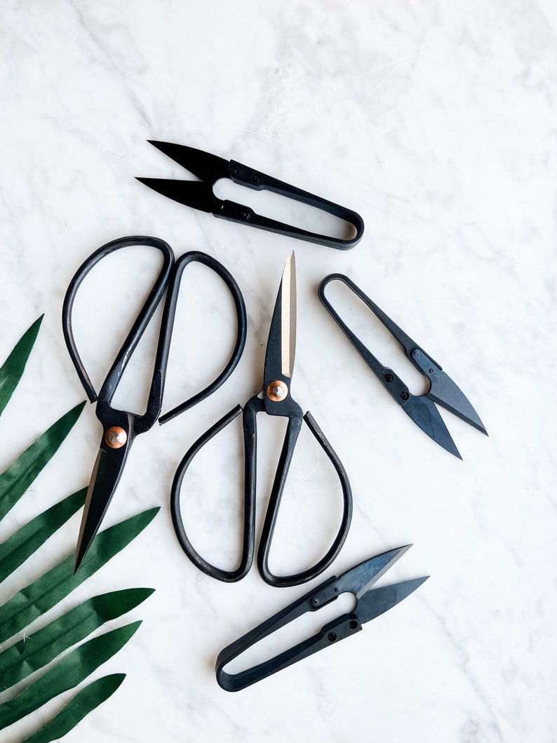 Scissors & Pruners Set for indoor gardening tools